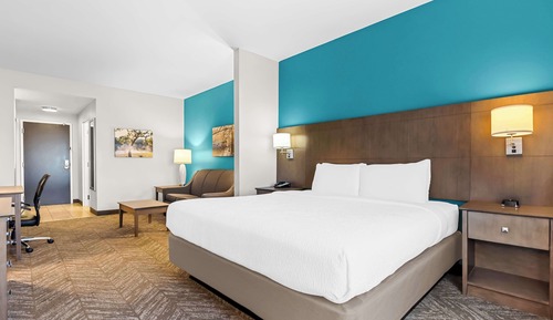 Suite, 1 King Bed, Non Smoking, Refrigerator & Microwave (with Sofabed)