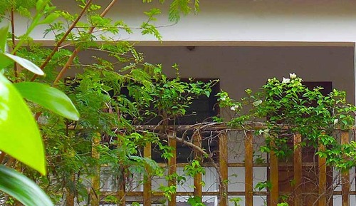 Economy Double Room, Garden View