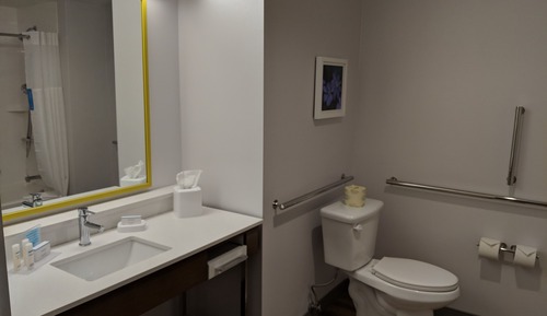 Room, 1 King Bed with Sofa bed, Accessible, Refrigerator (Bathtub)