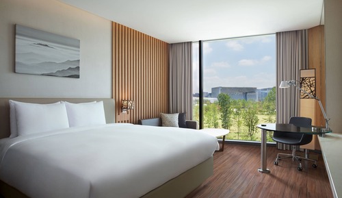 Room, 1 King Bed, Non Smoking, Park View