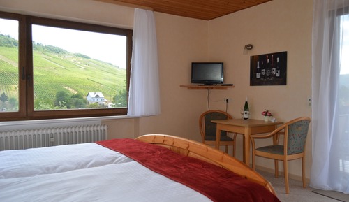 Double Room, Balcony, Vineyard View