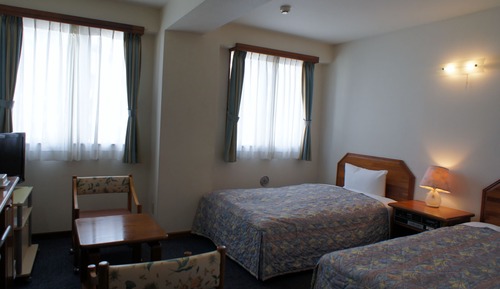 Twin Room (Single Use)