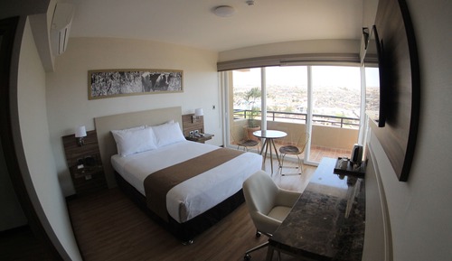 Single Room, 1 Queen Bed
