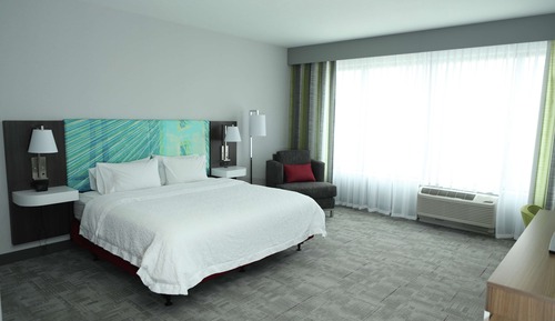 Room, 1 King Bed, Accessible (Roll-In Shower)