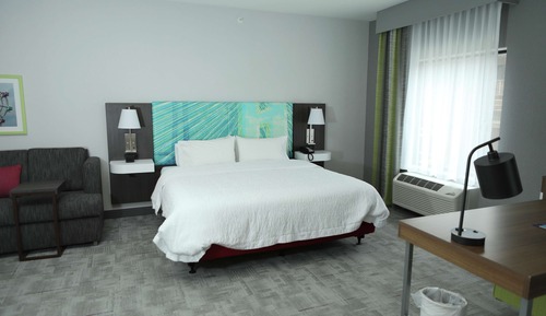 Studio, 1 King Bed, Accessible, Refrigerator & Microwave (Bathtub)
