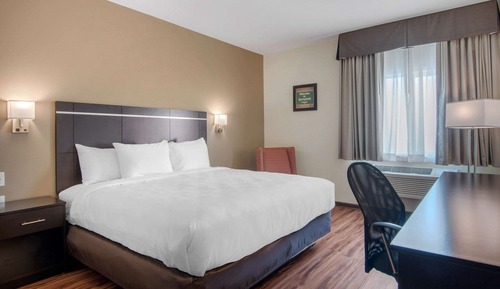 Standard Room, 1 King Bed, Non Smoking