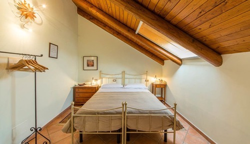 Comfort Single Room