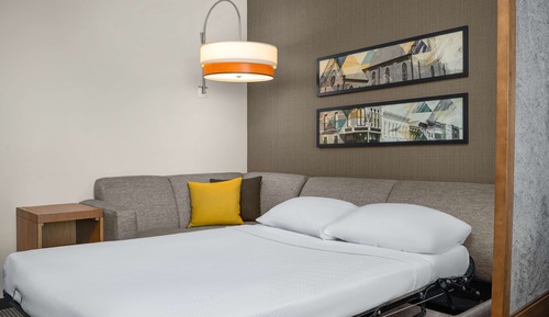 Room, 1 King Bed with Sofa bed
