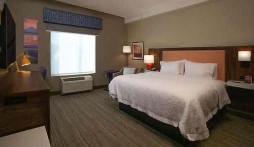 Studio, 1 King Bed, Accessible (Roll-In Shower)