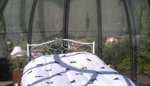 Cabin (Glass)