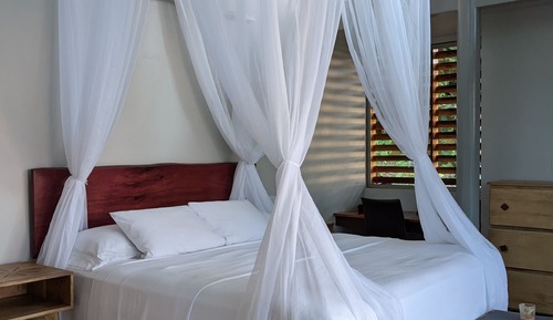Canopy Suite