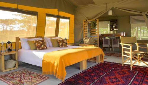 Standard Tent