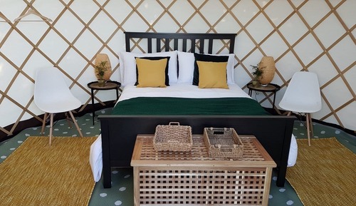 Signature Tent (Yurt Falcon)