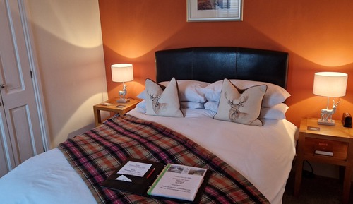 Deluxe Double Room Single Use