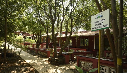 Deluxe Cottage (NON AC)