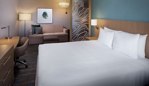 Room, 1 King Bed (with Shower)