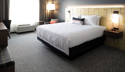 Room, 1 King Bed, Accessible (Track View, Roll-In Shower)
