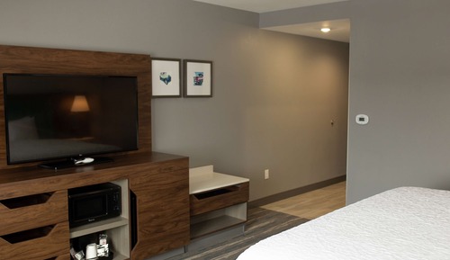 Room, 1 King Bed with Sofa bed, Refrigerator & Microwave