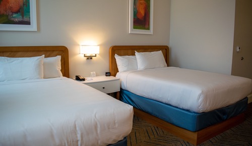 Standard Room, 1 King Bed, Multiple View (Standard King Shower Hearing Accessib)