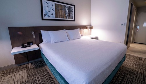 Room, 1 King Bed, Accessible (Hearing)