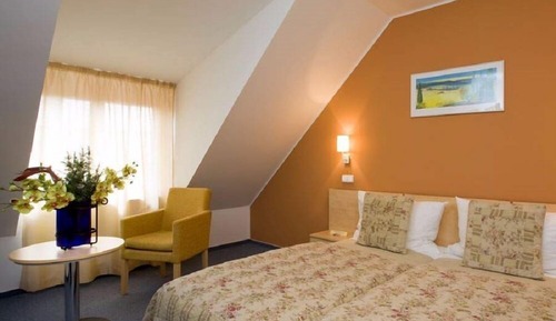 Basic Double Room