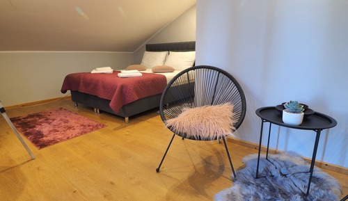 Exclusive Double Room, 1 Queen Bed (4)