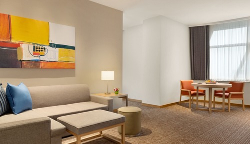 Suite, 1 King Bed with Sofa bed