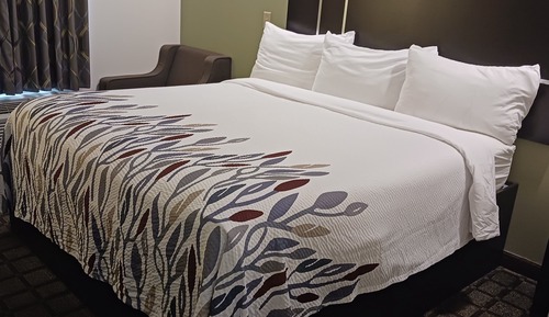 Superior Room, 1 King Bed, Accessible, Non Smoking (Kitchenette)