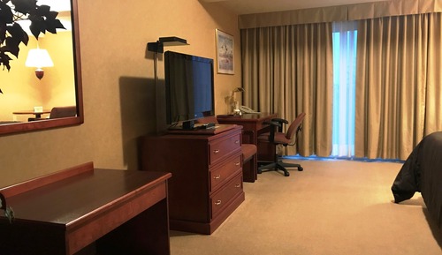 Luxury Suite (King)