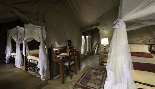 Luxury Family Tent