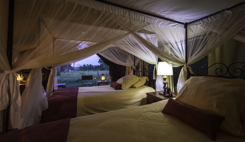 Luxury Tent Twin