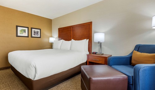 Standard Room, 1 King Bed, Non Smoking