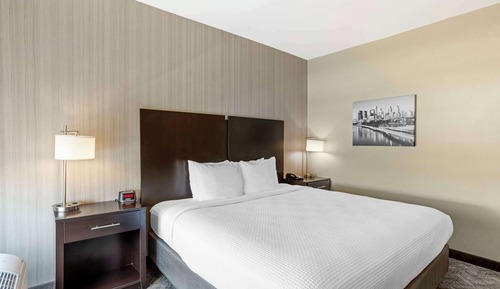 Standard Room, 1 King Bed, Non Smoking, Refrigerator
