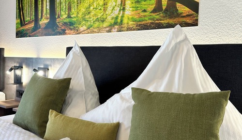 Exclusive Double Room