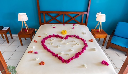 Standard Double Room, Ocean View