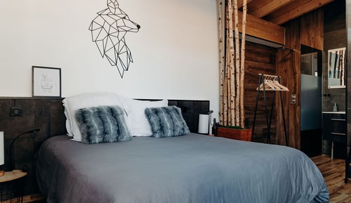Deluxe Double Room, 1 King Bed (CHAMBRE 6 WOLF)