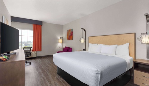 Room, 1 King Bed, Non Smoking