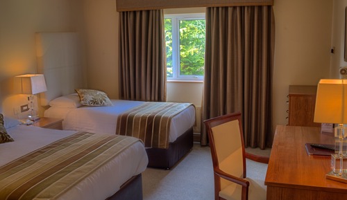 Executive Twin Room