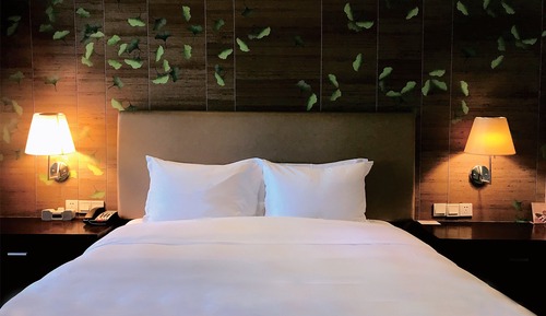 1 King Bed Standard