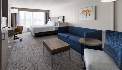 Suite, 1 King Bed with Sofa bed