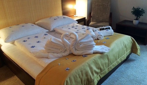 Superior Suite