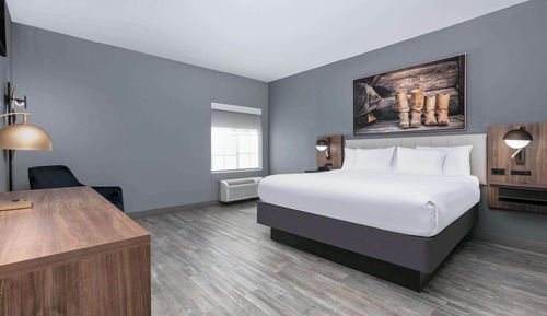 Room, 1 Double Bed, Accessible, Non Smoking (Mobility/Hearing, Roll-in Shower)