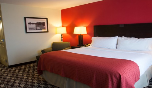 Standard Room, 1 King Bed, Mobility Accessible (Mobility, Roll-In Shower)