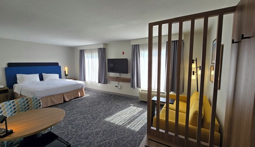 Studio, 1 King Bed with Sofa bed