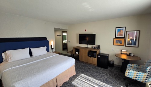 Room, 1 King Bed