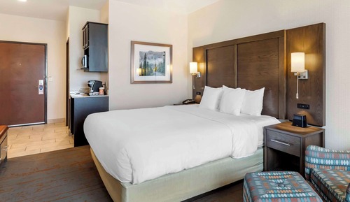 Standard Room, 1 King Bed, Non Smoking