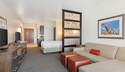 Suite, 1 King Bed with Sofa bed, Accessible, Non Smoking