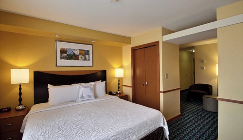 Suite, 1 King Bed with Sofa bed