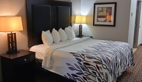 Superior Room, 1 King Bed, Non Smoking