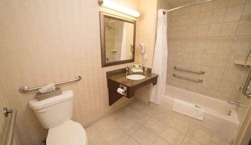 Standard Room, 1 King Bed, Accessible Bathtub (Access Tub)
